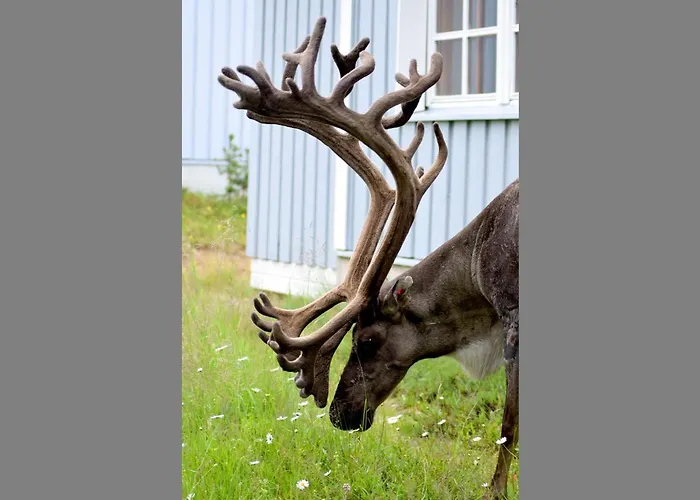 Saariselaentie 8 F 6 By Interhome Prázdninový dům